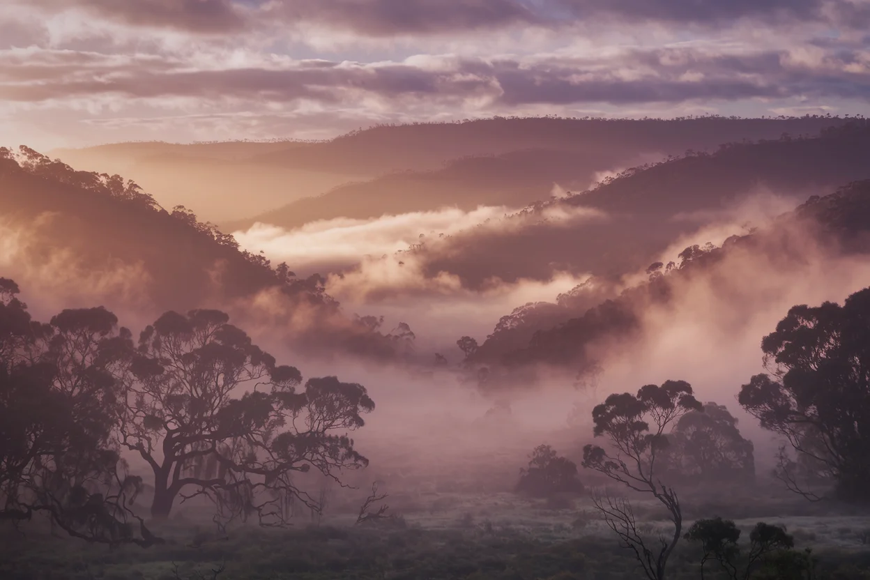 Mist Valley — fine-art landscape, Elena Marsh collection