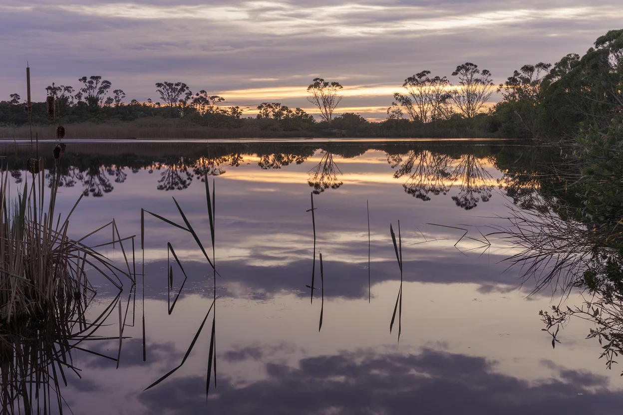 Lake Stillness — fine-art landscape, Elena Marsh collection